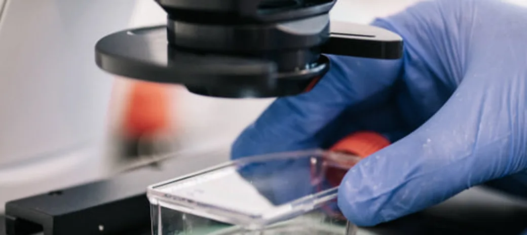 Gloved hand placing a chip under a microscope